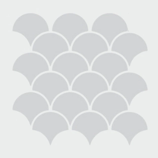 FLABELLUM